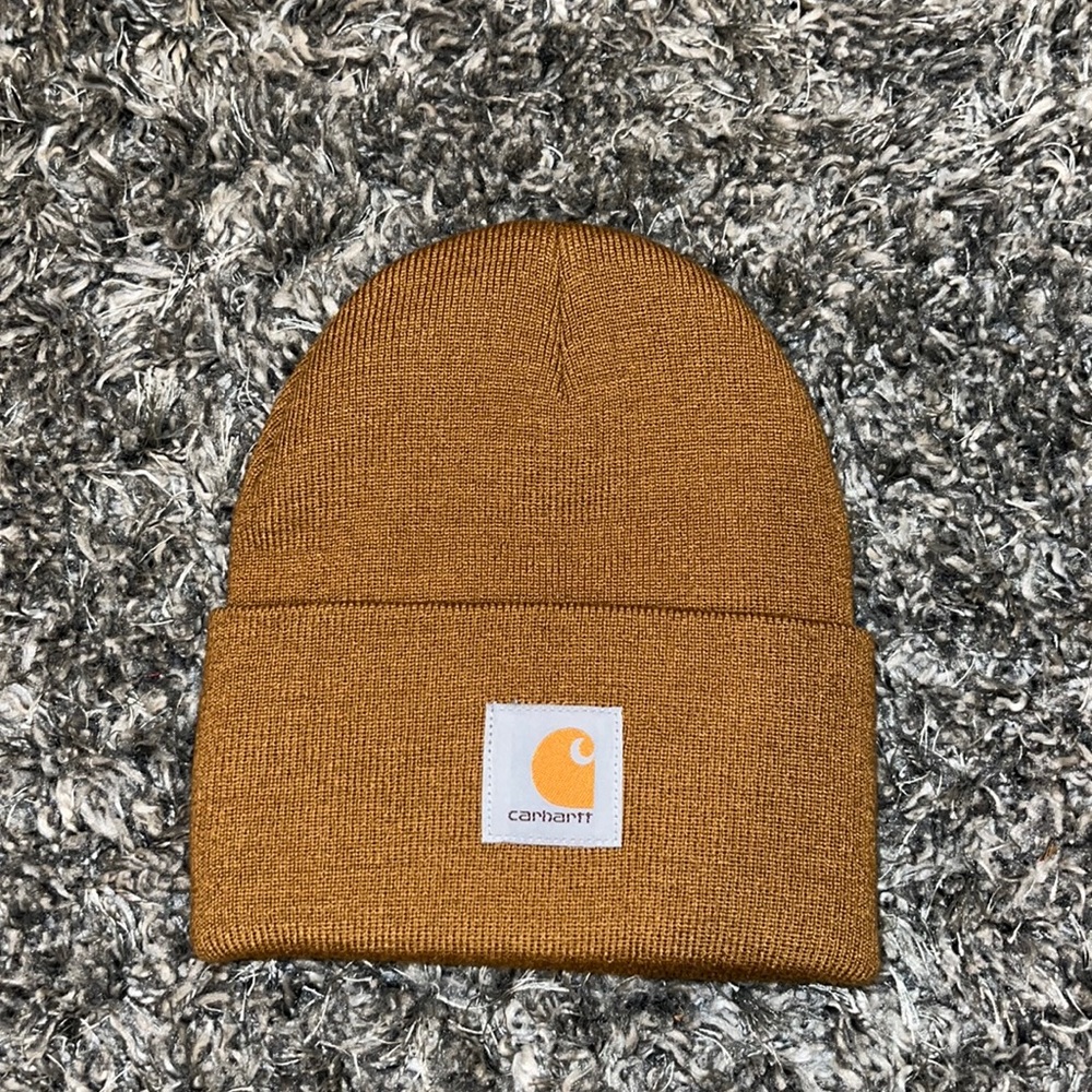Carhartt Winter Hat